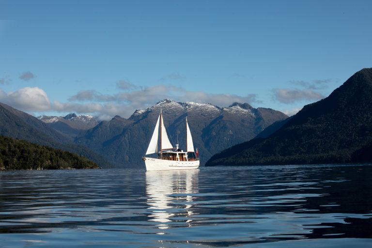 Scenic Cruise Guided Walk