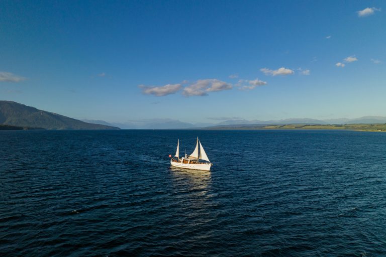 Scenic Cruise Guided Walk