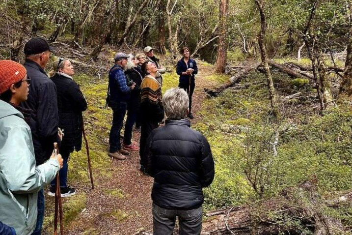 Scenic Cruise Guided Walk Hidden Lakes
