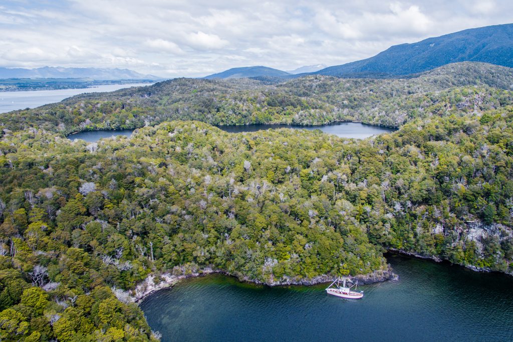 Scenic Cruise Guided Walk Hidden Lakes